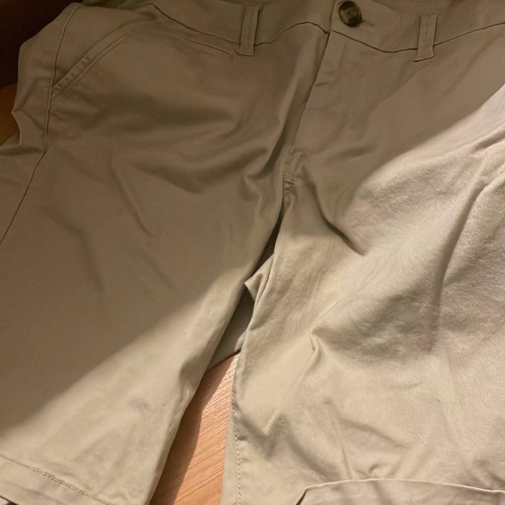 Khaki Flat Front Casual Shorts
